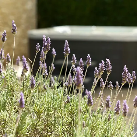 Appartement Martello Garden *