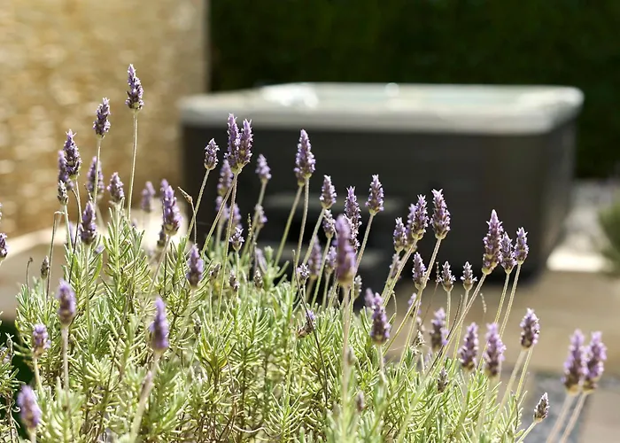 Apartmán Martello Garden *