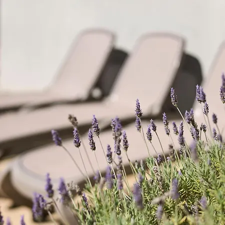 Martello Garden 아파트 *