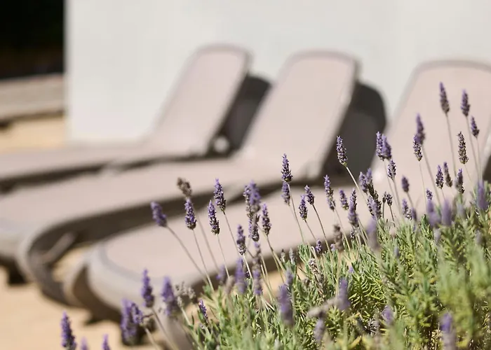 Martello Garden Appartement *